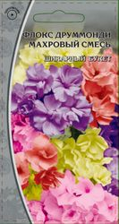 Семена Флокс друммонди Махровая смесь, 0.1г, изображение