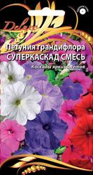 Петуния грандифлора Суперкаскад смесь, 10шт, вид