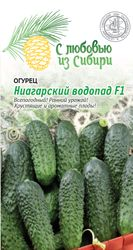 Семена Огурец Ниагарский Водопад F1(Сибирская серия), 0.25г, изображение