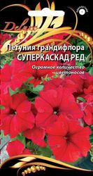 Петуния грандифлора Суперкаскад Ред, 10шт, изображение