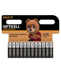 Батарейки алкалиновые 12AAA/LR03 Professional Opticell, вид