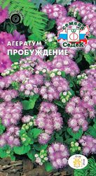 Семена Агератум СеДеК Пробуждение сиренево-белый, вид