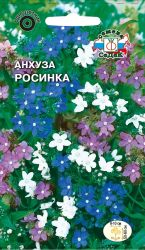 Семена Анхуза СеДеК Росинка капская, изображение