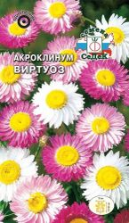 Семена акроклинума СеДеК Виртуоз 1 г, фото