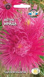 Семена Астры СеДеК Ирида розовая 0,2 г, фотография