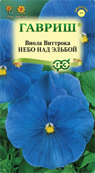 Семена ГАВРИШ Виола Виттрока Небо над Эльбой, 0,05г, крупный план