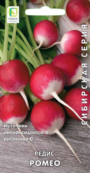 Семена редис ромео, крупный план