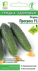 Семена Огурца Прогесс F1 12 шт, вид