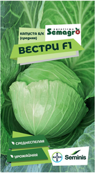 Семена капусты белокочанной SEMINIS ВЕСТРИ F1, крупный план