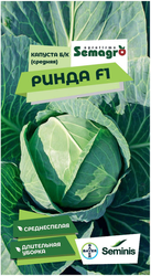 Семена капусты белокачанной SEMINIS РИНДА F1, вид