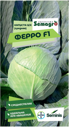 Семена капусты белокочанной SEMINIS ФЕРРО F1, картинка