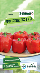 Семена перца SEMINIS АРИСТОТЕЛЬ ЭКС 3 Р F1, изображение