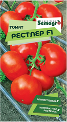 Семена томата SEMINIS РЕСТЛЕР F1, изображение
