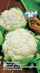 Семена капуста малима, фото