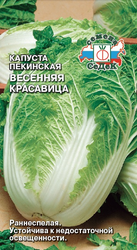 Семена капуста весенняя красавица, крупный план