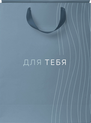 Пакет подарочный CITY HOME TRADE Basic Men 31,5х25,5х11см, 1шт, вид