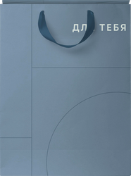 Пакет подарочный CITY HOME TRADE Basic Men 41х31х10см, 1шт, картинка