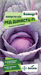 Семена Капусты краснокочанной SEMINIS Ред Династи F1, 15 шт, крупный план