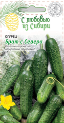 Семена Огурец Брат с Севера   0,25 гр, изображение