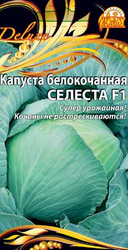 Семена Капуста б/к  Селеста F1 (Селекция "ВХ")  0,3г, картинка