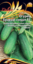 Семена Огурец Бравый солдат F1  0,25 гр, изображение