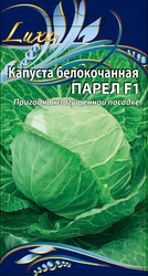 Семена Капуста б/к  Парел F1 10 шт, крупный план