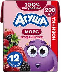 Морс ягодный АГУША Ягодный сбор, из винограда, клюквы, ежевики и клубники, с 12 месяцев, 200мл, крупный план
