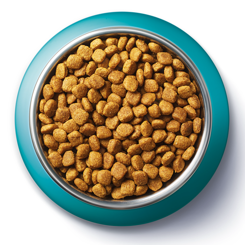 Корм сухой для взрослых кошек PURINA ONE Чувствительное пищеварение Индейка, 200г, фотография