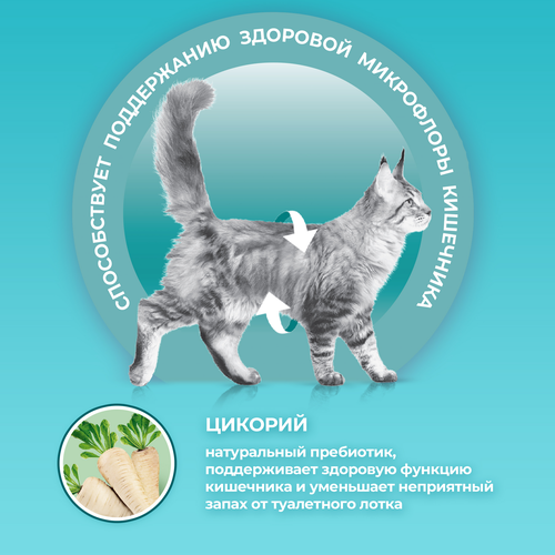Корм сухой для взрослых кошек PURINA ONE Чувствительное пищеварение Индейка, 200г, детальное фото
