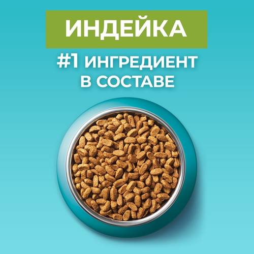 Корм сухой для взрослых кошек PURINA ONE Чувствительное пищеварение Индейка, 200г, фото