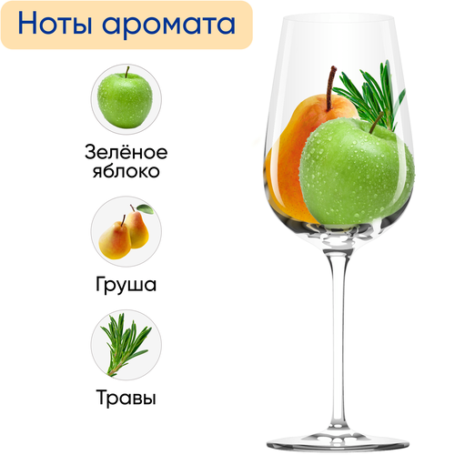 Вино игристое CINZANO PROSECCO белое сухое, 0.75л, крупный план