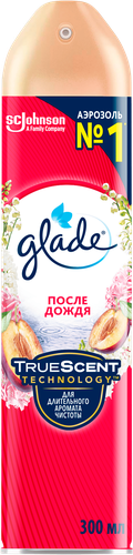 Освежитель воздуха GLADE После дождя, 300мл, вид