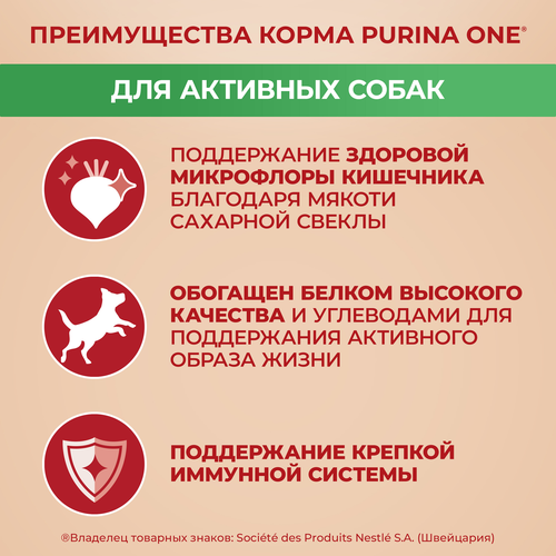 Корм сухой для взрослых собак PURINA ONE для мелких пород с активных образом жизни, с высоким содержанием курицы и с рисом, 600г, фото