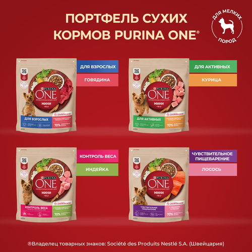 Корм сухой для взрослых собак PURINA ONE для мелких пород с активных образом жизни, с высоким содержанием курицы и с рисом, 600г, изображение
