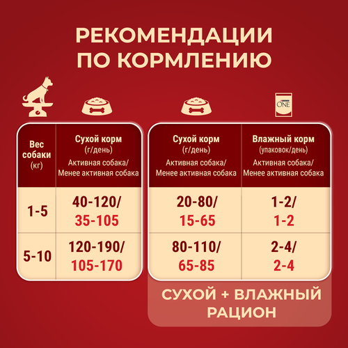 Корм сухой для взрослых собак PURINA ONE для мелких пород с активных образом жизни, с высоким содержанием курицы и с рисом, 600г, фото
