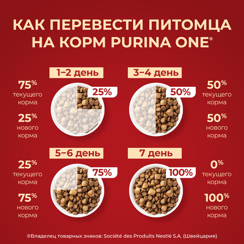 Корм сухой для взрослых собак PURINA ONE для мелких пород с активных образом жизни, с высоким содержанием курицы и с рисом, 600г, крупный план