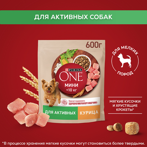Корм сухой для взрослых собак PURINA ONE для мелких пород с активных образом жизни, с высоким содержанием курицы и с рисом, 600г, детальное фото