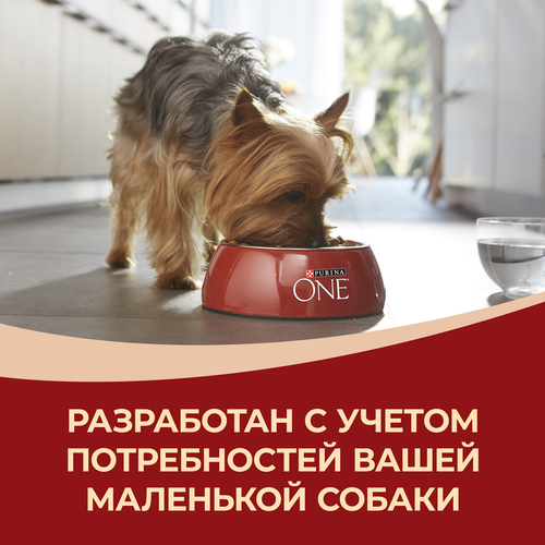 Корм сухой для взрослых собак PURINA ONE для мелких пород с активных образом жизни, с высоким содержанием курицы и с рисом, 600г, детальное фото