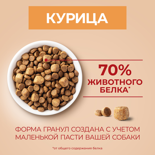 Корм сухой для взрослых собак PURINA ONE для мелких пород с активных образом жизни, с высоким содержанием курицы и с рисом, 600г, изображение