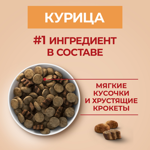 Корм сухой для взрослых собак PURINA ONE Курица, для средних и крупных пород, 1,8кг, фото