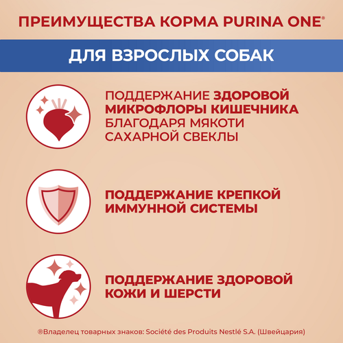 Корм сухой для взрослых собак PURINA ONE Курица, для средних и крупных пород, 1,8кг, фотография