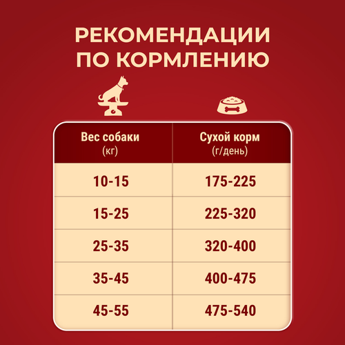 Корм сухой для взрослых собак PURINA ONE Курица, для средних и крупных пород, 1,8кг, картинка