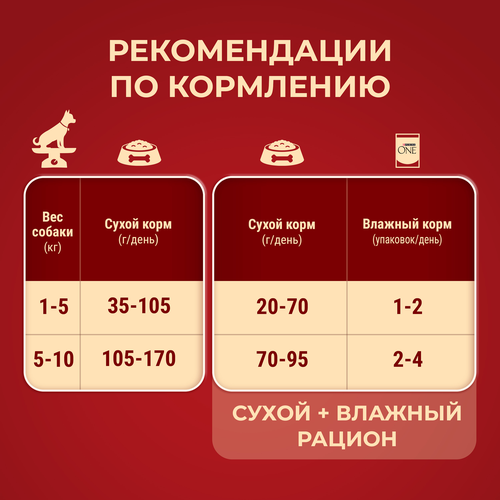 Корм сухой для собак PURINA ONE Мини, для мелких и карликовых пород, с высоким содержанием говядины и с рисом, 7кг, детальное фото