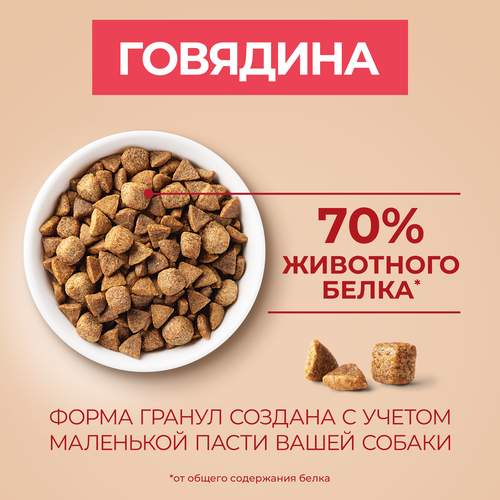 Корм сухой для собак PURINA ONE Мини, для мелких и карликовых пород, с высоким содержанием говядины и с рисом, 7кг, картинка