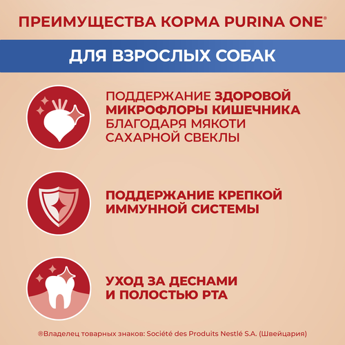 Корм сухой для собак PURINA ONE Мини, для мелких и карликовых пород, с высоким содержанием говядины и с рисом, 7кг, фотография