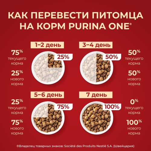 Корм сухой для собак PURINA ONE Мини, для мелких и карликовых пород, с высоким содержанием говядины и с рисом, 7кг, вид