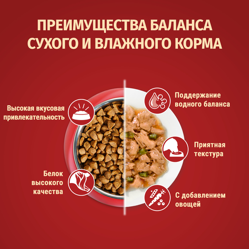 Корм сухой для собак PURINA ONE Мини, для мелких и карликовых пород, с высоким содержанием говядины и с рисом, 7кг, крупный план