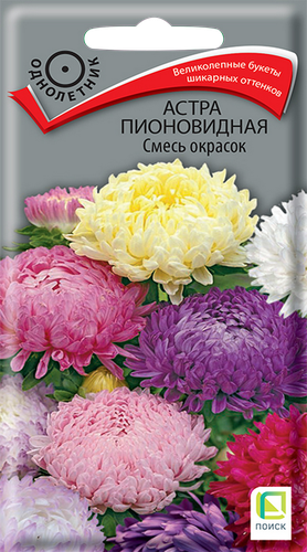 Семена ПОИСК Астра пионовидная, смесь, 0,3г, изображение