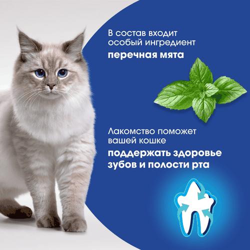 Лакомство для кошек PERFECT FIT Oral Care с курицей и добавлением мяты, 50г, вид