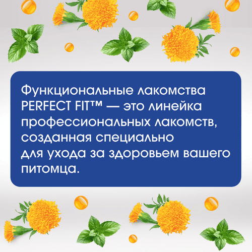 Лакомство для кошек PERFECT FIT Oral Care с курицей и добавлением мяты, 50г, фото
